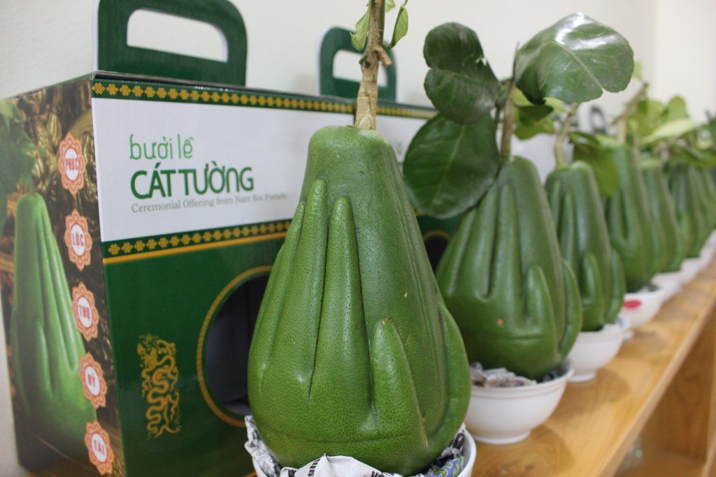Bưởi lễ Cát Tường