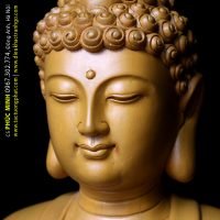tượng phật a di đà, tuong phat a di da, tượng a di đà, tuong a di da, phật a di đà, phat a di da, tượng phật a di đà gỗ, tuong phat a di da go